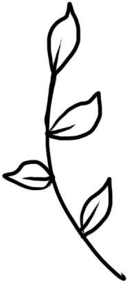 aa26d8ed3548034563a4ca2f53202f84.png